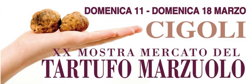 20° MOSTRA MERCATO DEL TARTUFO MARZUOLO DI CIGOLI