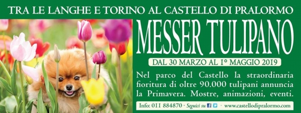 20° MESSER TULIPANO AL CASTELLO DI PRALORMO