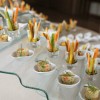 DEA PARTY CATERING VEGETARIANO