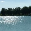 Lago La Perla Pesca Sportiva Il Lago
